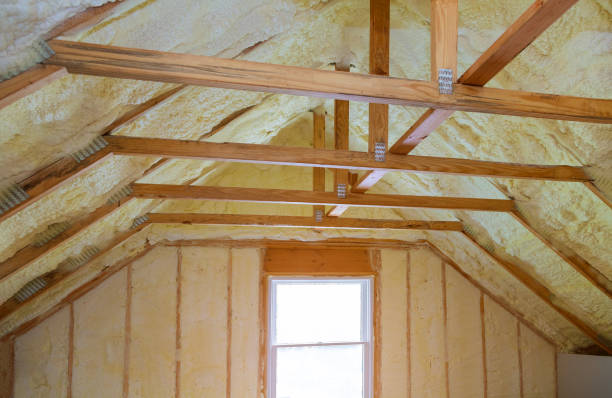 Best Commercial Insulation in Juneau, WI